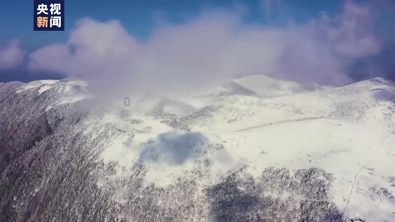 重磅！我国首款自复制mRNA疫苗JCXH-211强势来袭，瘤内注射，远处杀癌!