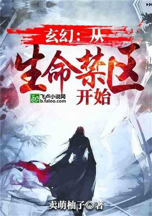 真三国无双8