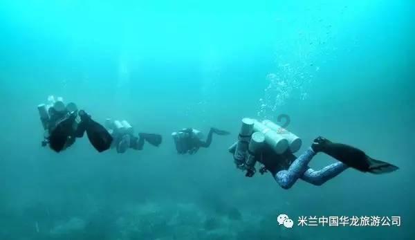 逗小猴开心系列175